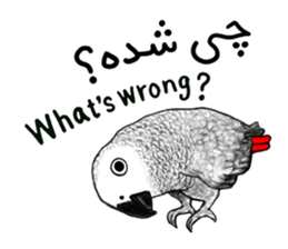 KASKO (FARSI) sticker #12963216