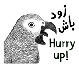 KASKO (FARSI) sticker #12963217