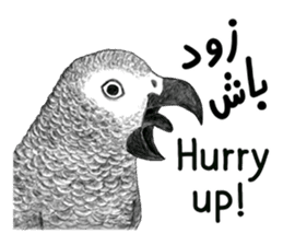 KASKO (FARSI) sticker #12963217