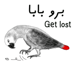 KASKO (FARSI) sticker #12963218