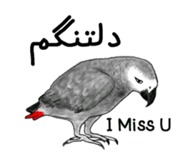 KASKO (FARSI) sticker #12963219