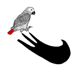 KASKO (FARSI) sticker #12963222