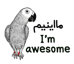 KASKO (FARSI) sticker #12963223