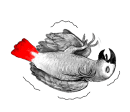 KASKO (FARSI) sticker #12963224