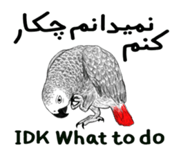 KASKO (FARSI) sticker #12963227