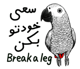 KASKO (FARSI) sticker #12963231