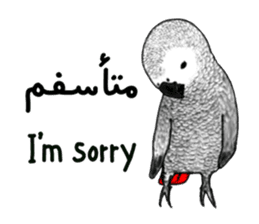 KASKO (FARSI) sticker #12963233