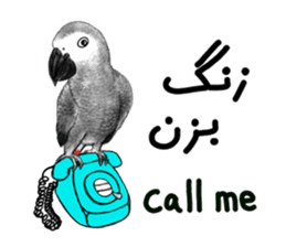 KASKO (FARSI) sticker #12963236