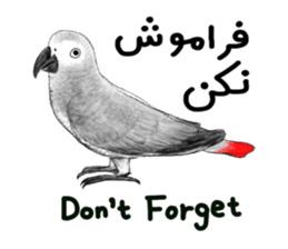 KASKO (FARSI) sticker #12963237