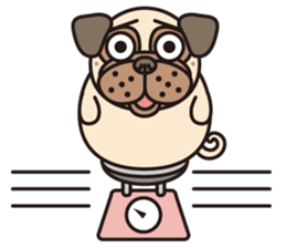 Love Pug World sticker #12964774