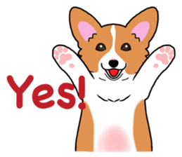 Pembroke Welsh Corgi and good friends sticker #12965519