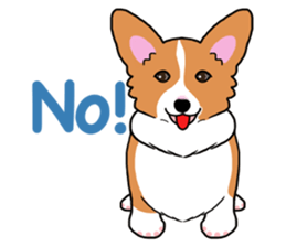 Pembroke Welsh Corgi and good friends sticker #12965520