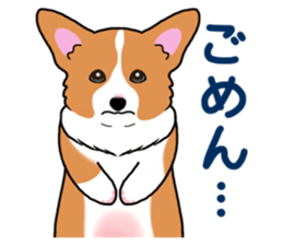 Pembroke Welsh Corgi and good friends sticker #12965522