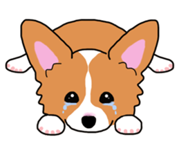 Pembroke Welsh Corgi and good friends sticker #12965523
