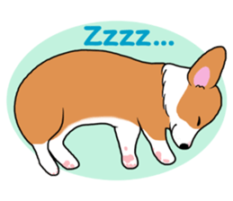 Pembroke Welsh Corgi and good friends sticker #12965525