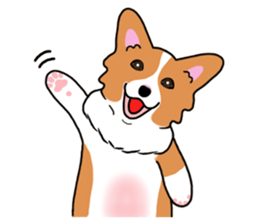 Pembroke Welsh Corgi and good friends sticker #12965526