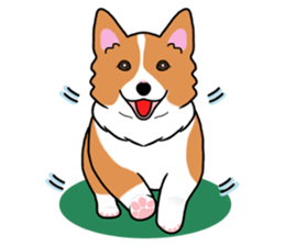 Pembroke Welsh Corgi and good friends sticker #12965527