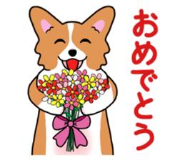Pembroke Welsh Corgi and good friends sticker #12965528