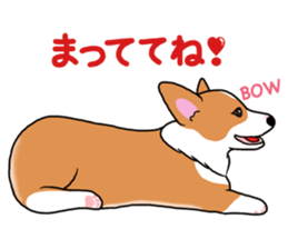 Pembroke Welsh Corgi and good friends sticker #12965529