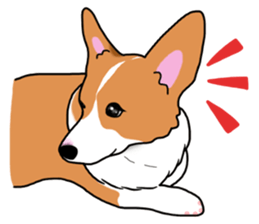 Pembroke Welsh Corgi and good friends sticker #12965530