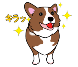 Pembroke Welsh Corgi and good friends sticker #12965532