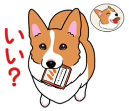 Pembroke Welsh Corgi and good friends sticker #12965539