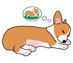 Pembroke Welsh Corgi and good friends sticker #12965541