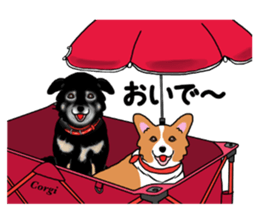 Pembroke Welsh Corgi and good friends sticker #12965544
