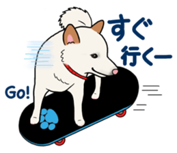 Pembroke Welsh Corgi and good friends sticker #12965545