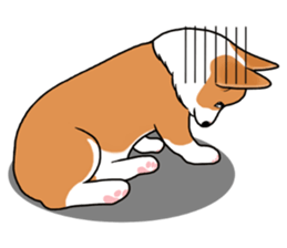 Pembroke Welsh Corgi and good friends sticker #12965547
