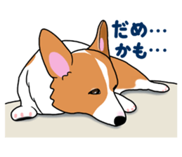 Pembroke Welsh Corgi and good friends sticker #12965548