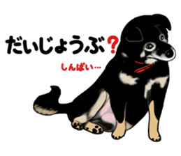 Pembroke Welsh Corgi and good friends sticker #12965549