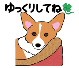 Pembroke Welsh Corgi and good friends sticker #12965550