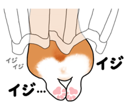 Pembroke Welsh Corgi and good friends sticker #12965552