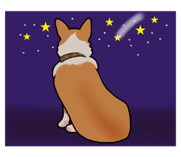 Pembroke Welsh Corgi and good friends sticker #12965553