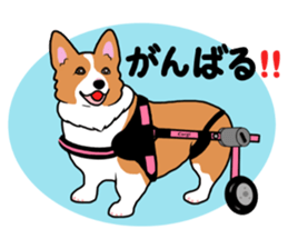Pembroke Welsh Corgi and good friends sticker #12965554