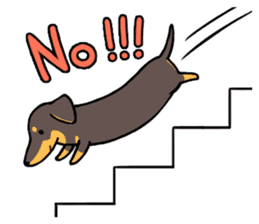 Dachshund Kuji sticker #12966166