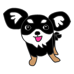 Chihuahuas Eliot