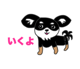 Chihuahuas Eliot sticker #12966999