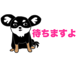 Chihuahuas Eliot sticker #12967000