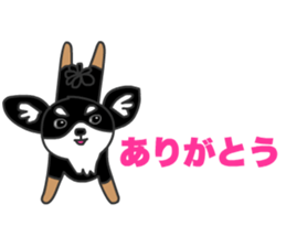 Chihuahuas Eliot sticker #12967006