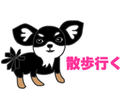 Chihuahuas Eliot sticker #12967011