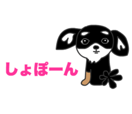 Chihuahuas Eliot sticker #12967013