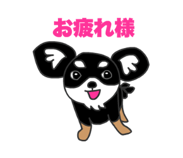 Chihuahuas Eliot sticker #12967014