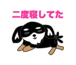 Chihuahuas Eliot sticker #12967015