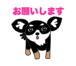 Chihuahuas Eliot sticker #12967017