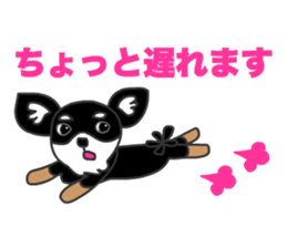 Chihuahuas Eliot sticker #12967018