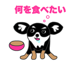 Chihuahuas Eliot sticker #12967021