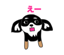 Chihuahuas Eliot sticker #12967023