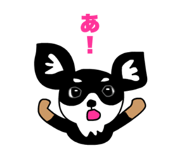 Chihuahuas Eliot sticker #12967025